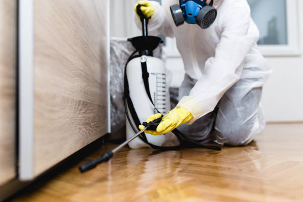 Best Best Pest Control Companies  in New Carlisle, OH