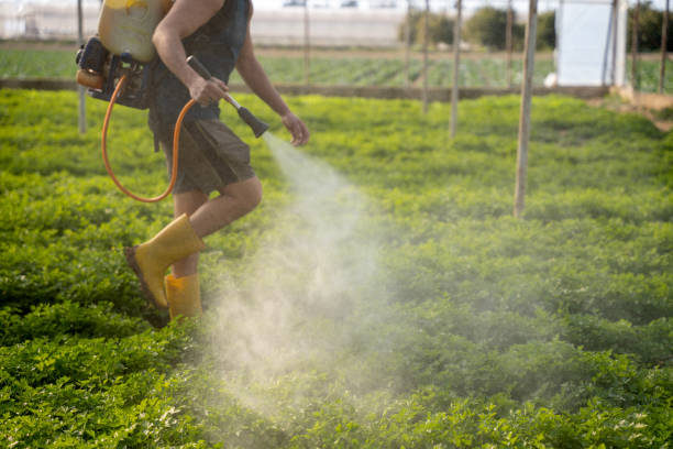 Best Pest Removal Services  in New Carlisle, OH