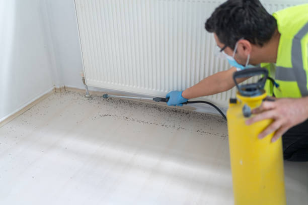 Best Bed Bug Extermination  in New Carlisle, OH