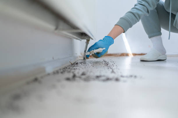 Best Residential Pest Control  in New Carlisle, OH
