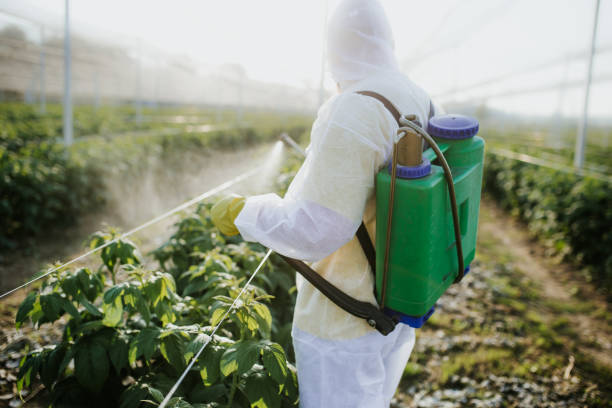 Best Pest Control for Homes  in New Carlisle, OH